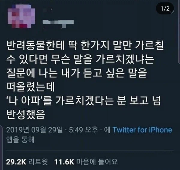 반려동물한테 딱 한 가지 말만 가르쳐 줄 수 있다면_1.webp