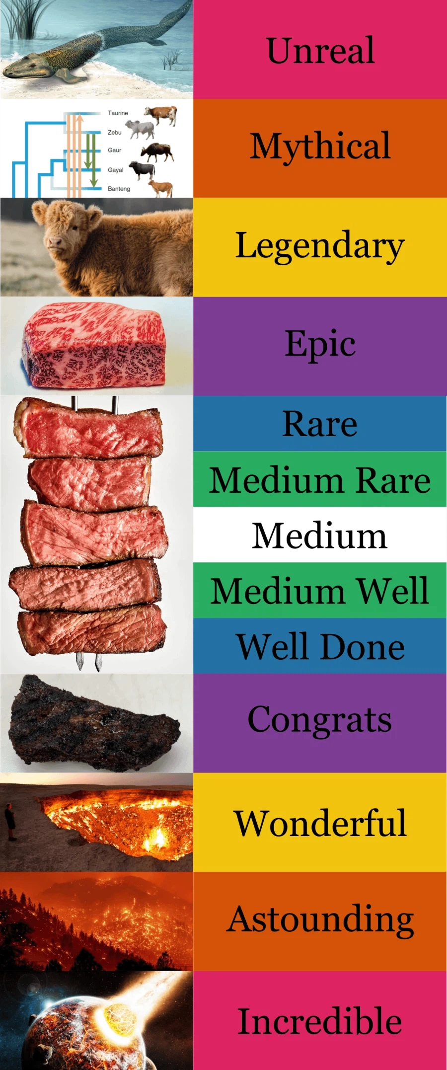 스테이크 굽기정도를 알아보자_1.webp