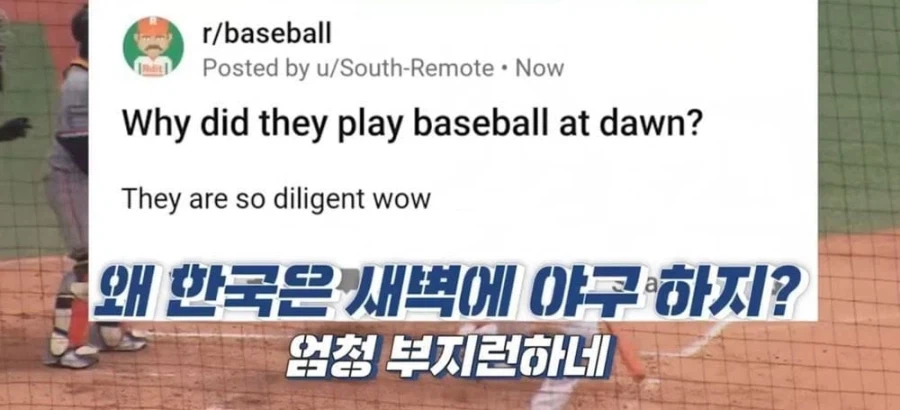 미국인이 놀란 한국인의 부지런함_1.webp