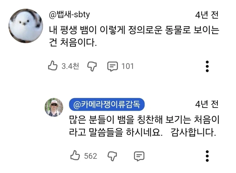 뻐꾸기 탁란의 최후.jpg_3.webp