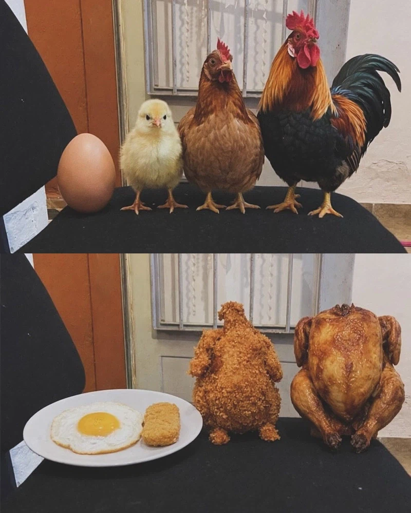 사진으로 보는 치킨의 변화 과정_1.webp