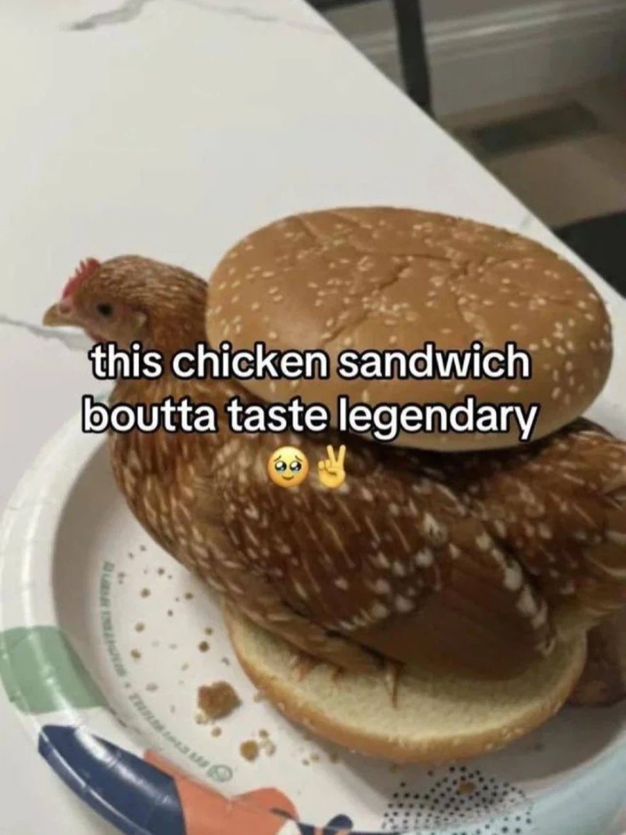 너무 덜익은 치킨 샌드위치_1.webp