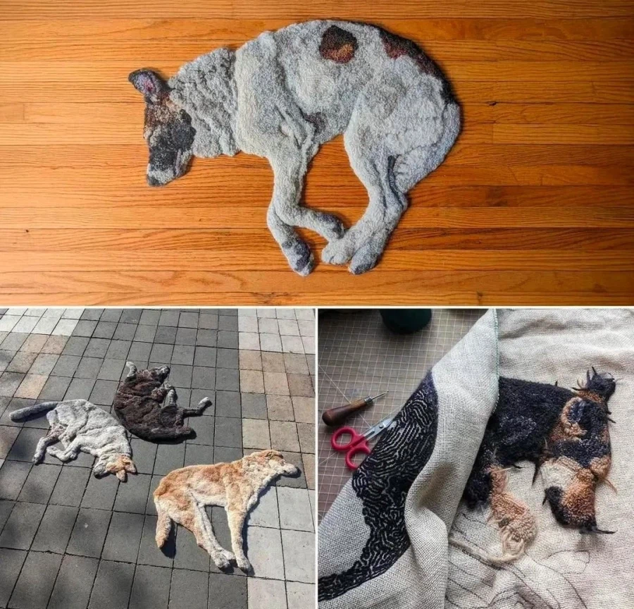 끔찍하게 말라비틀어잔 개사체_1.webp