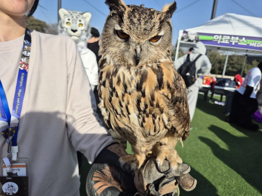 퍼리조아에 진짜 퍼리 왔음 ㄷㄷㄷㄷ_1.webp