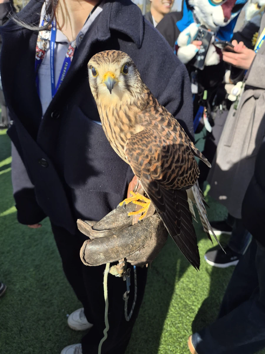 퍼리조아에 진짜 퍼리 왔음 ㄷㄷㄷㄷ_2.webp