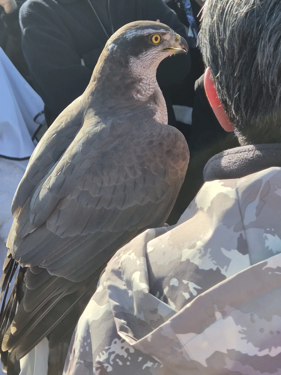 퍼리조아에 진짜 퍼리 왔음 ㄷㄷㄷㄷ_3.webp