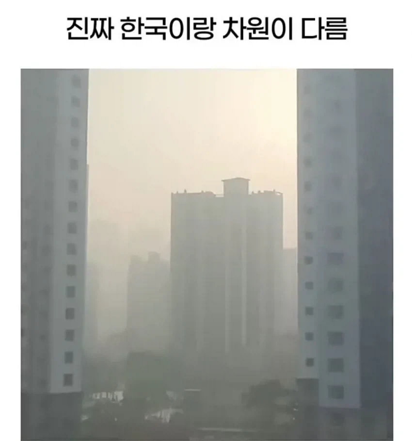 한국인들이 일본 여행 가면 걸려오는 신기한 병_3.webp