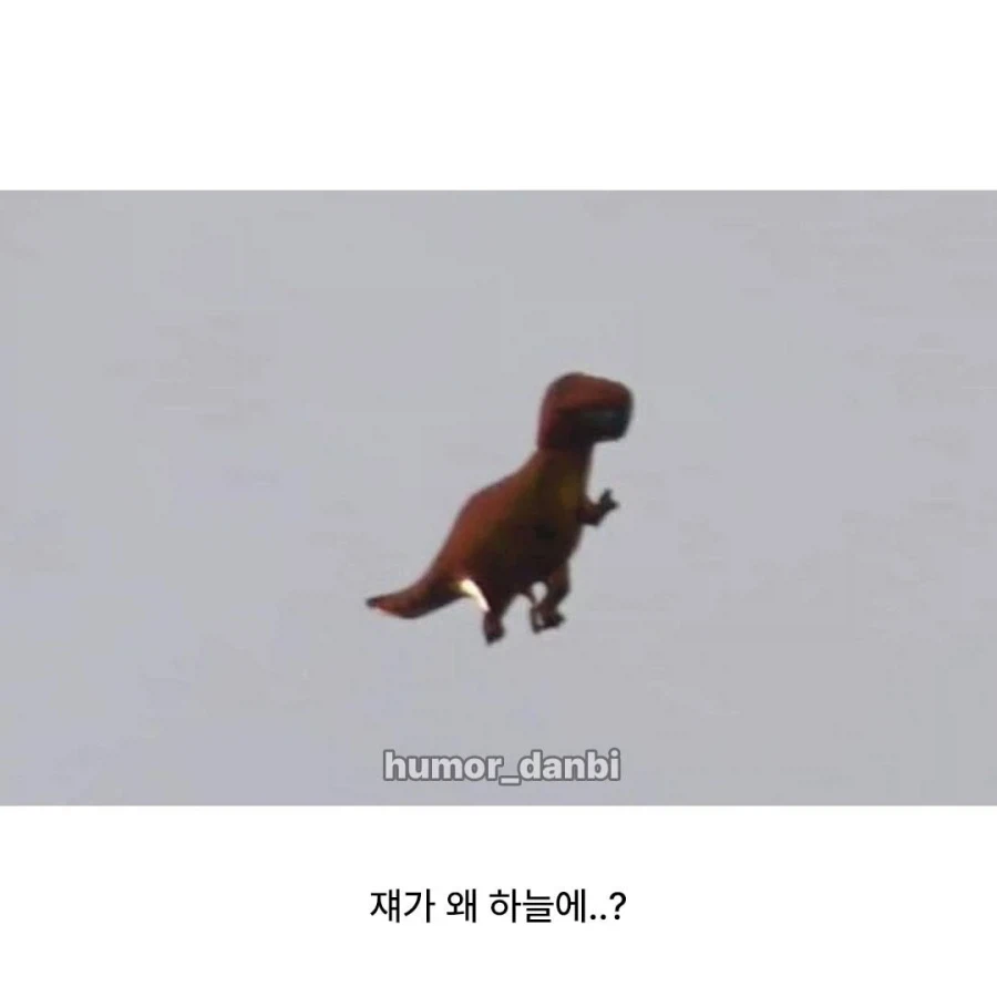왜가리가 하늘보는 이유_3.webp