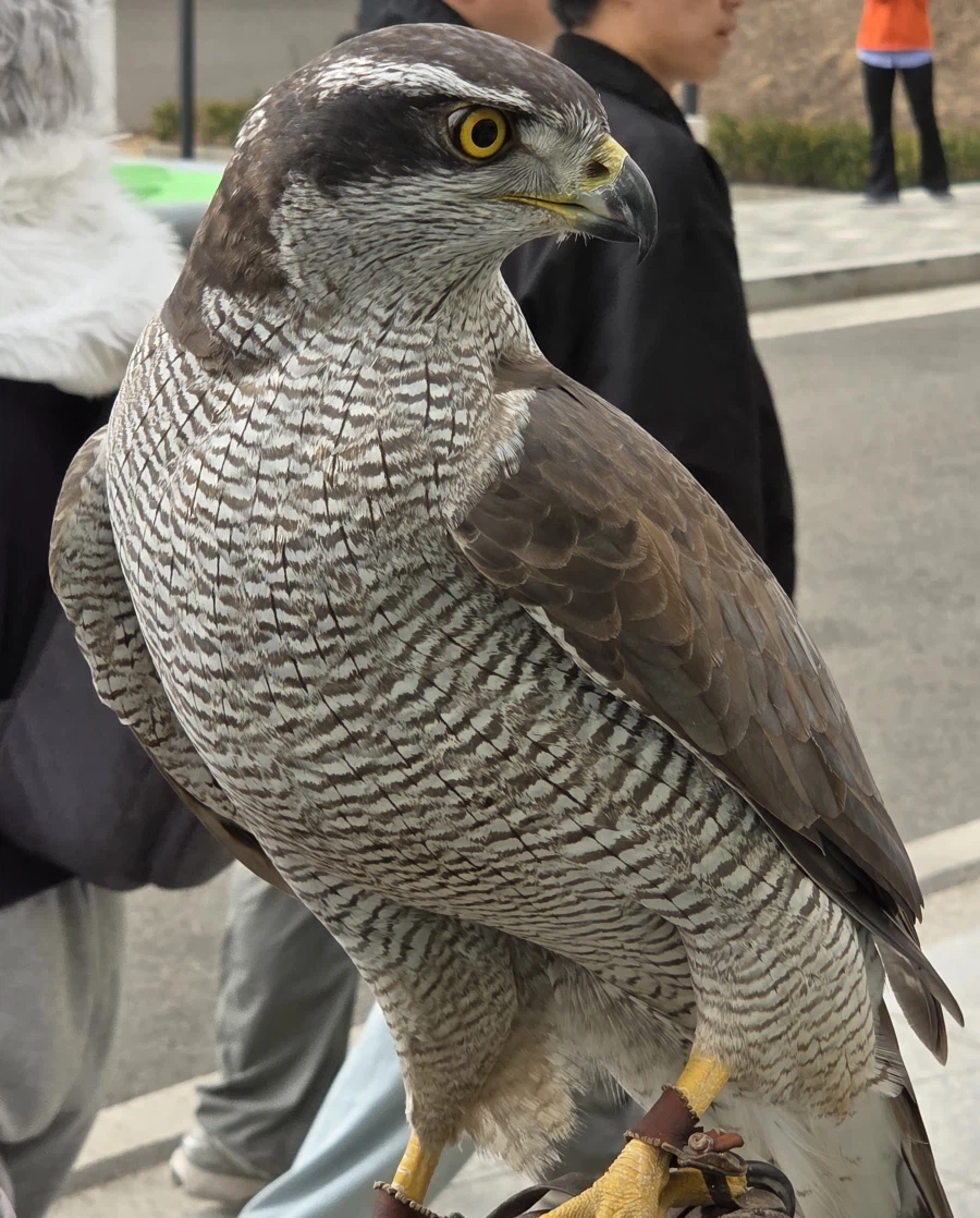 퍼조 2일차 끗_1.webp