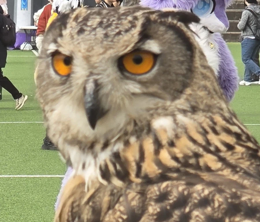 퍼조 2일차 끗_2.webp