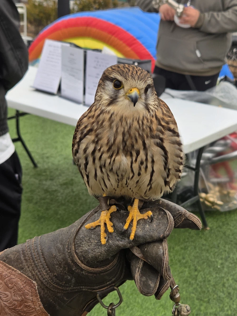 퍼조 2일차 끗_3.webp