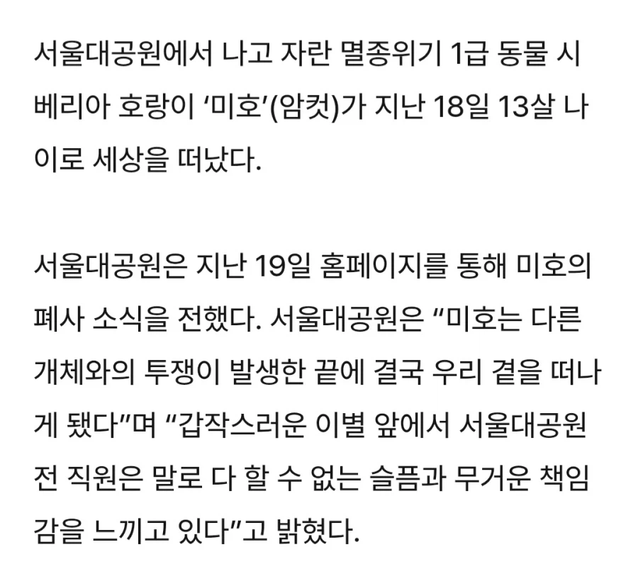 TV동물농장에 나왔던 미호,