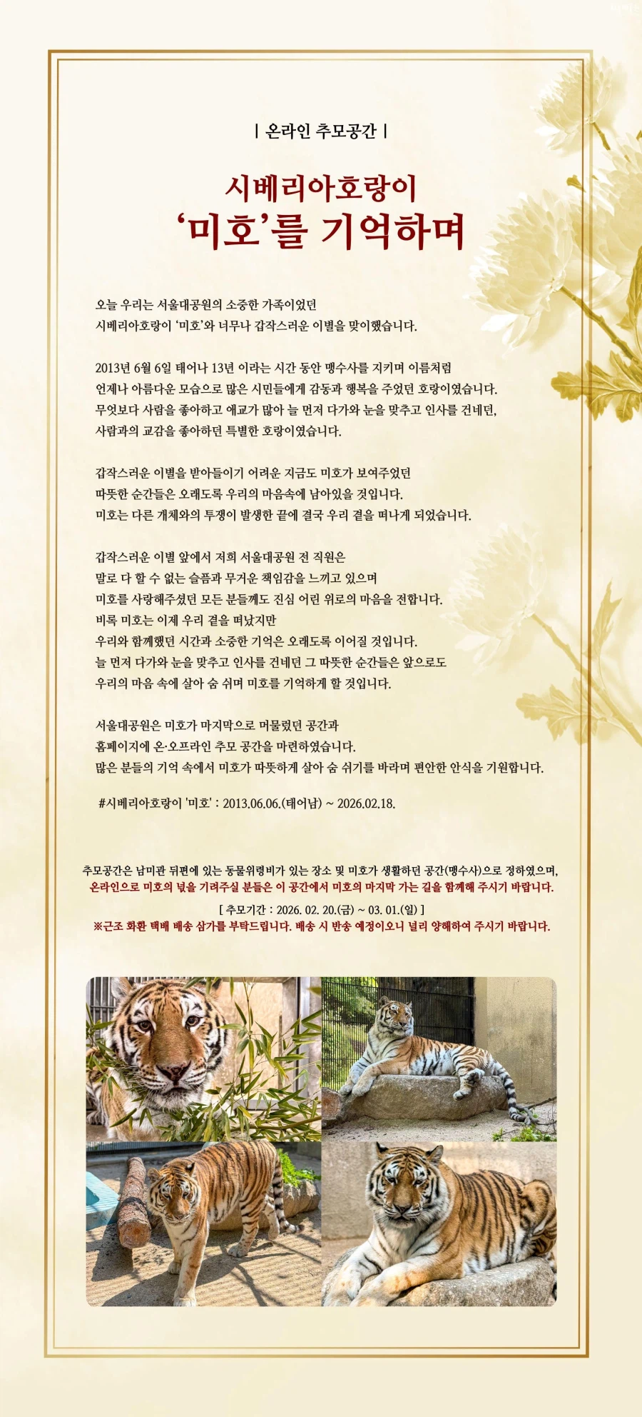 TV동물농장에 나왔던 미호,