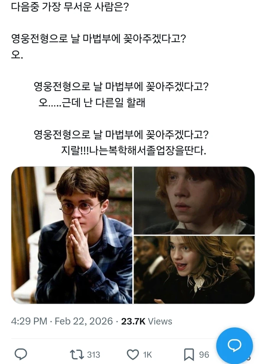해리포터) 영웅전형에 대한 삼총사_1.webp