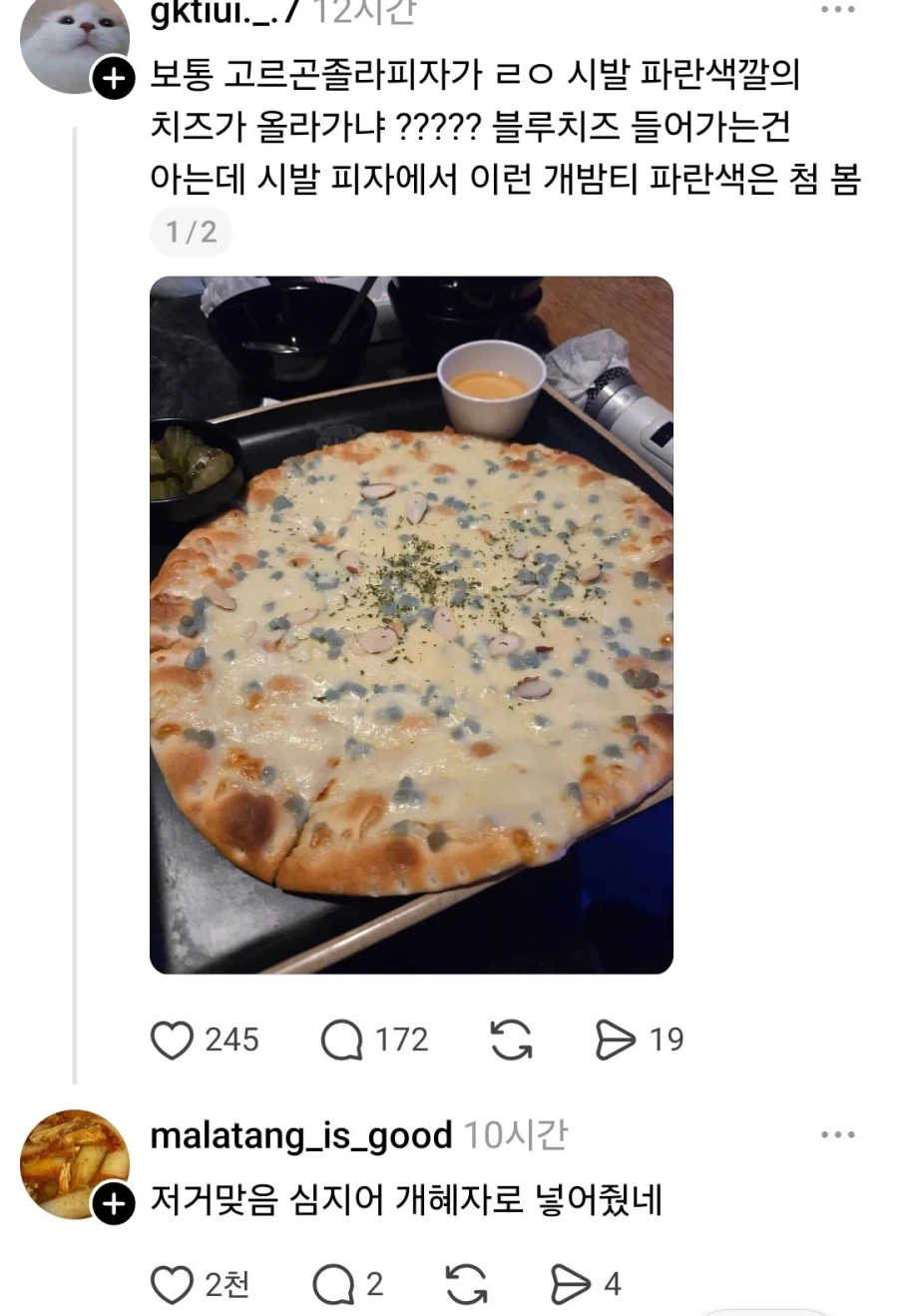 맨날 고른곤졸라라고 해놓고 허옇기만한 피자를 봐서 생긴 참사_1.webp