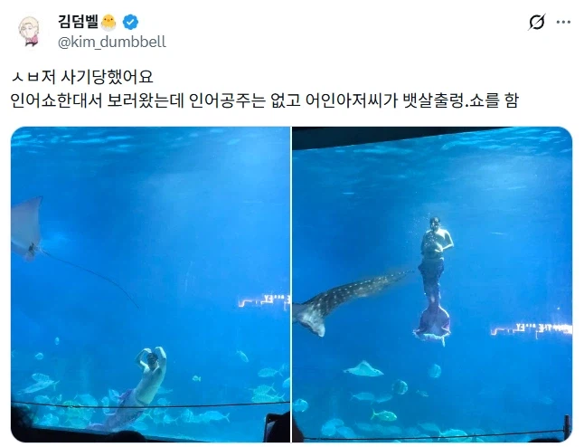 인어쇼 보러갔다가 사기당함.jpg_1.webp