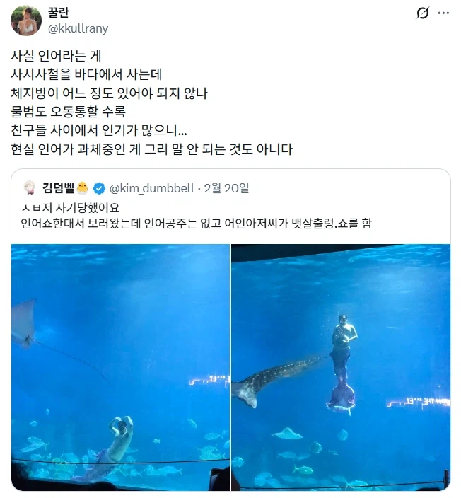 인어쇼 보러갔다가 사기당함.jpg_4.webp