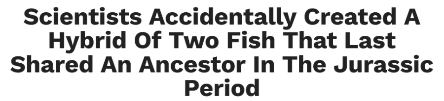 지구생물 근친 레전드.jpg_1.webp