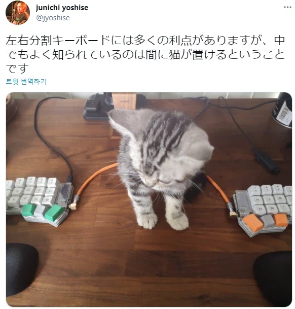 스플릿 키보드의 숨은 장점.jpg_1.webp