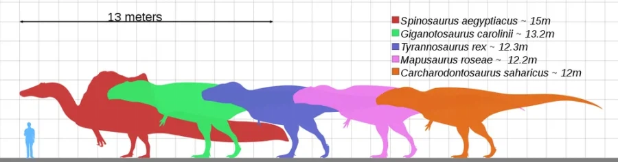 스피노가 유독 음해 많이 당하는 이유_2.webp
