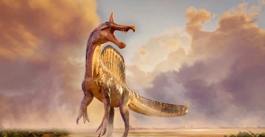 스피노가 유독 음해 많이 당하는 이유_3.webp