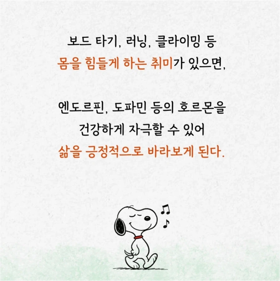 취미가 최소 3개가 있어야 하는 이유_5.webp