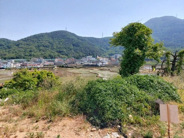 공식적으로는 누가 묻혔는지 아무도 모르는 곳_1.webp