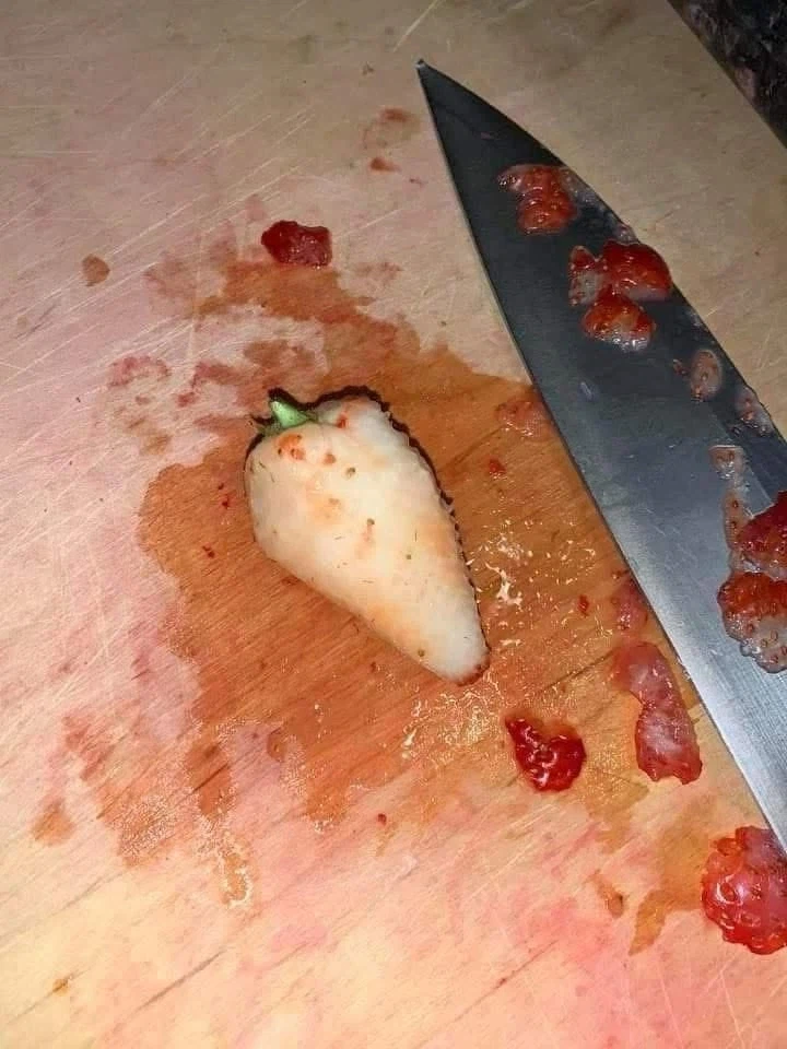 인생살면서 한번 볼까말까한 속살_3.webp