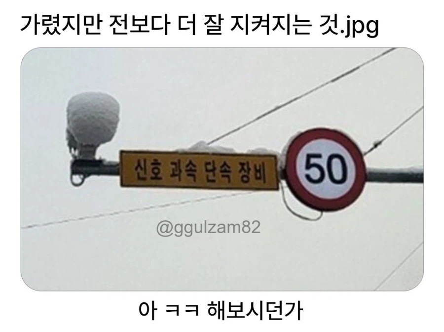 가렸지만 전보다 더 잘 지켜지는 것.jpg_1.webp