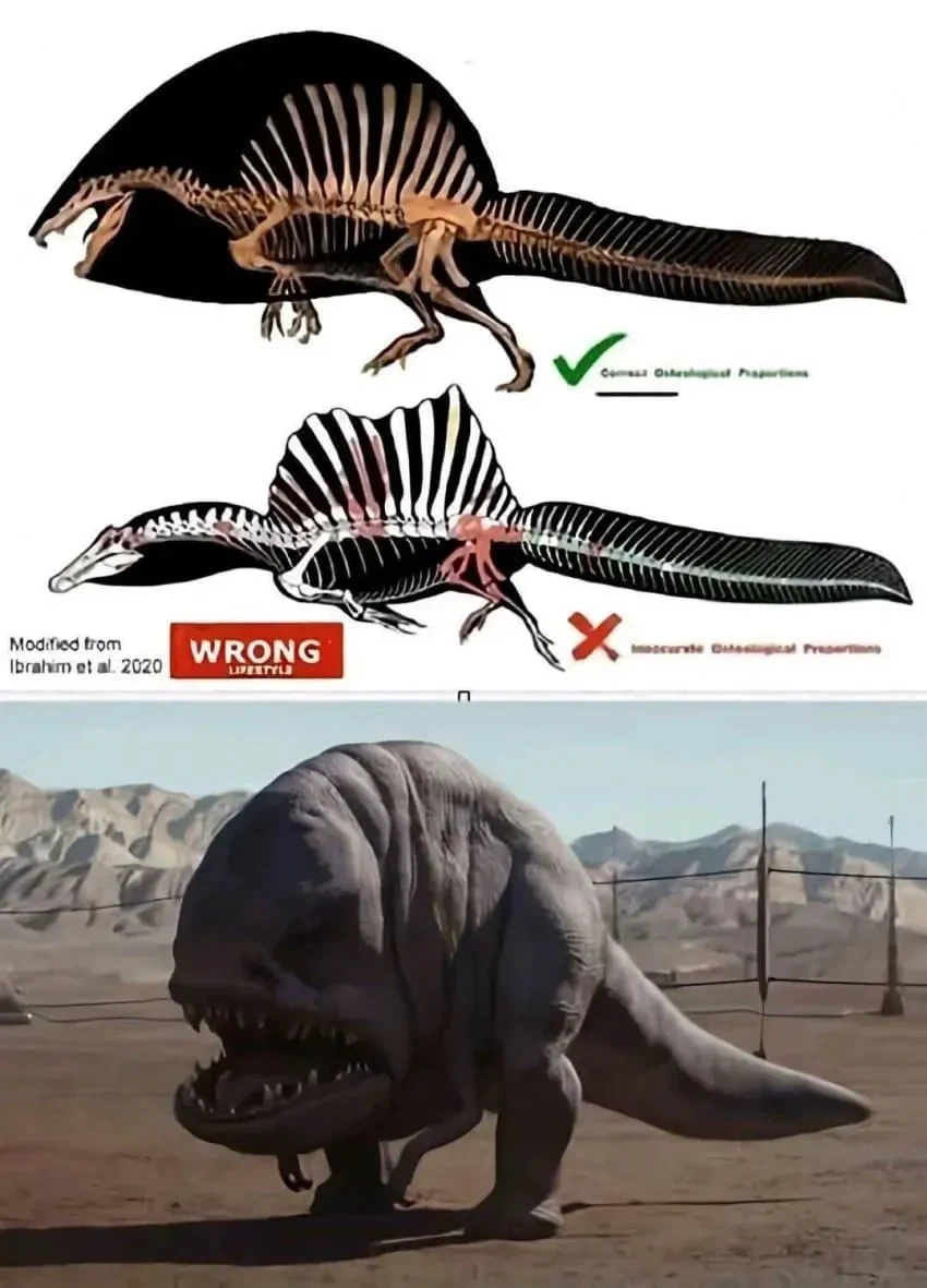 또 복원도 개정된 그 공룡.jpg_2.webp