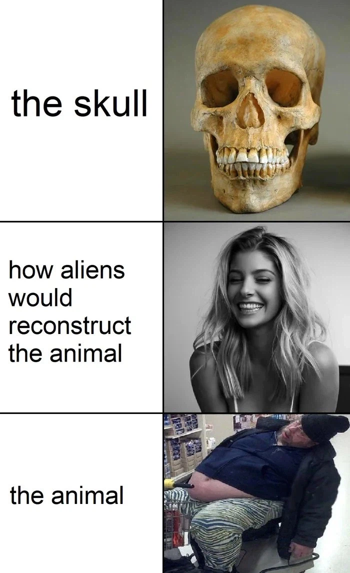 ㄹㅇ 고생물 복원도를 어떻게 믿어_1.webp