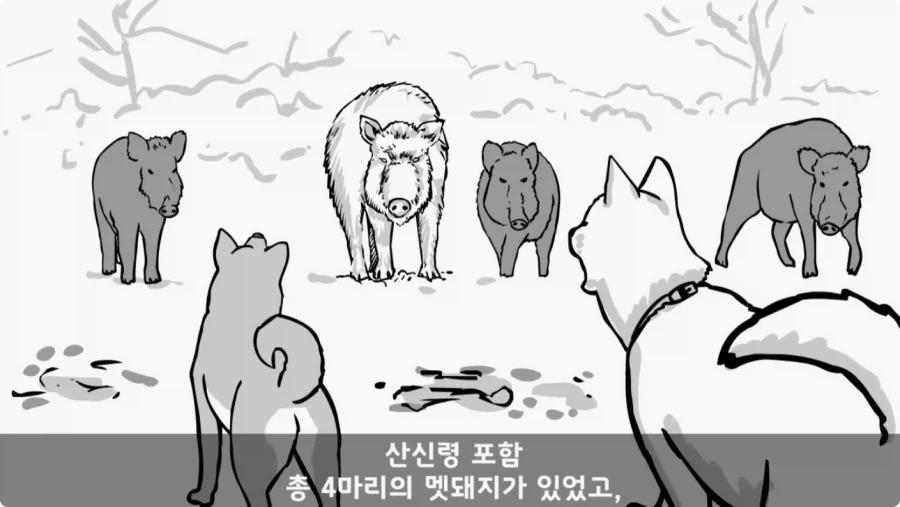 산신령의 분노.jpg_52.webp