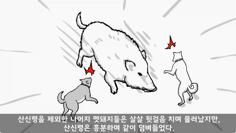 산신령의 분노.jpg_53.webp