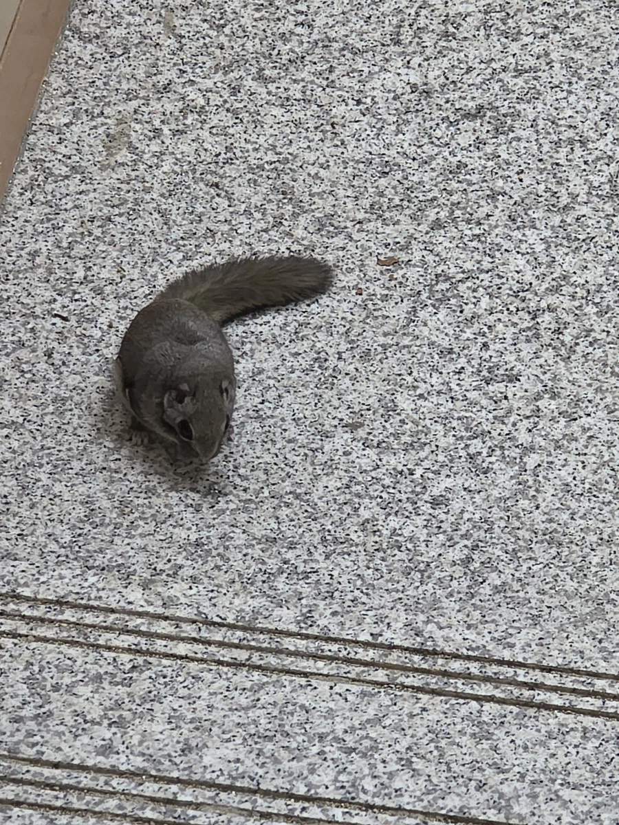 님들아 얘 어캄?_1.webp