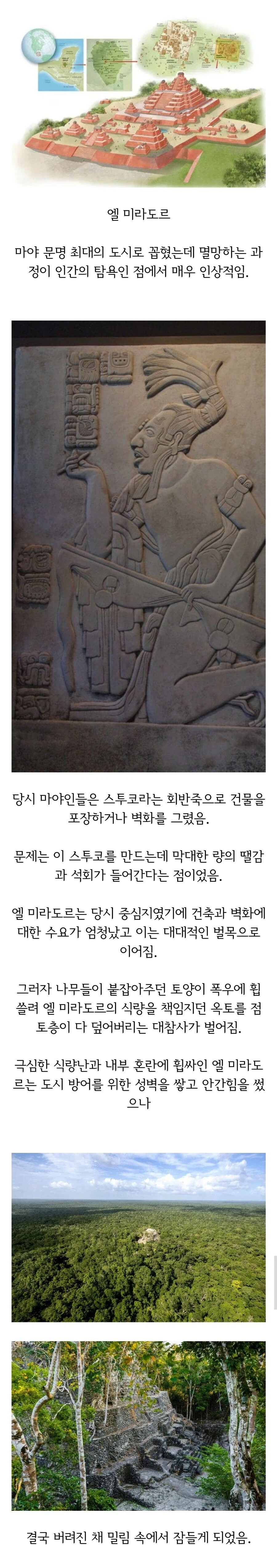 부동산 때문에 멸망한 고대 도시.jpg_1.webp