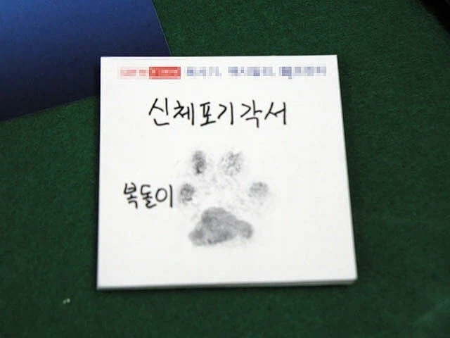 복돌이의 최후_4.webp