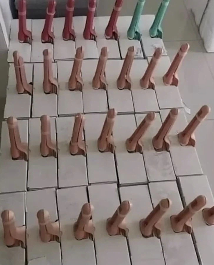 이것은 다양한 색깔의 딜도가 아닙니다._1.webp