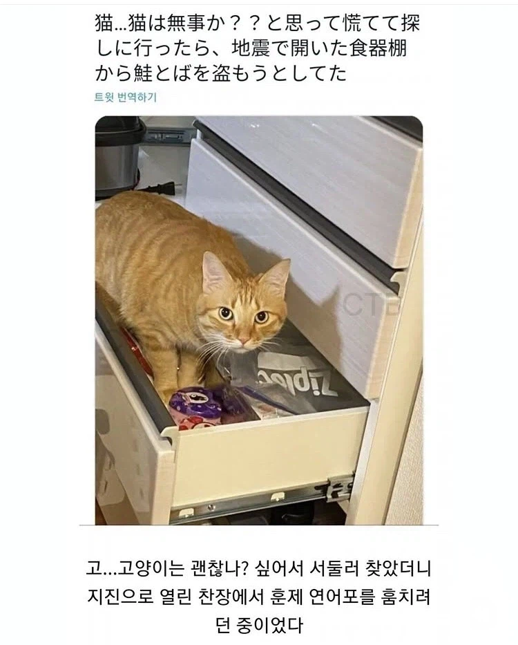 지진같은 큰 재난이 터지면 나타나기 쉬운 위험요소_1.webp