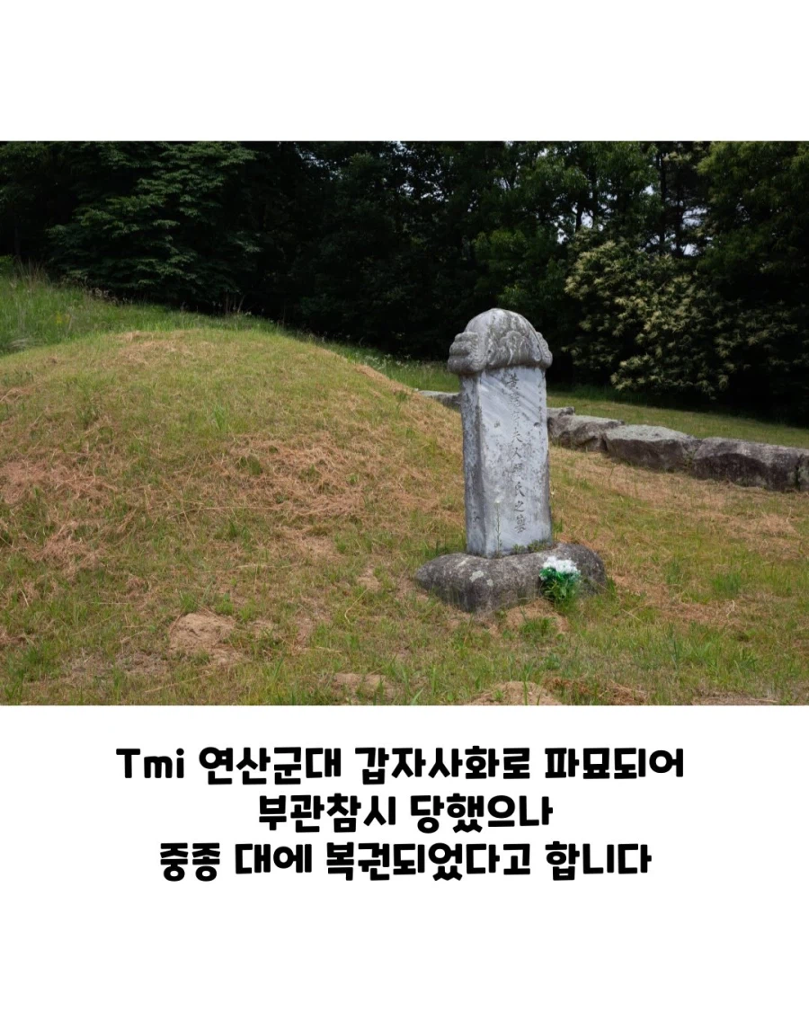 한명회 묘 네이버지도 리뷰..._12.webp