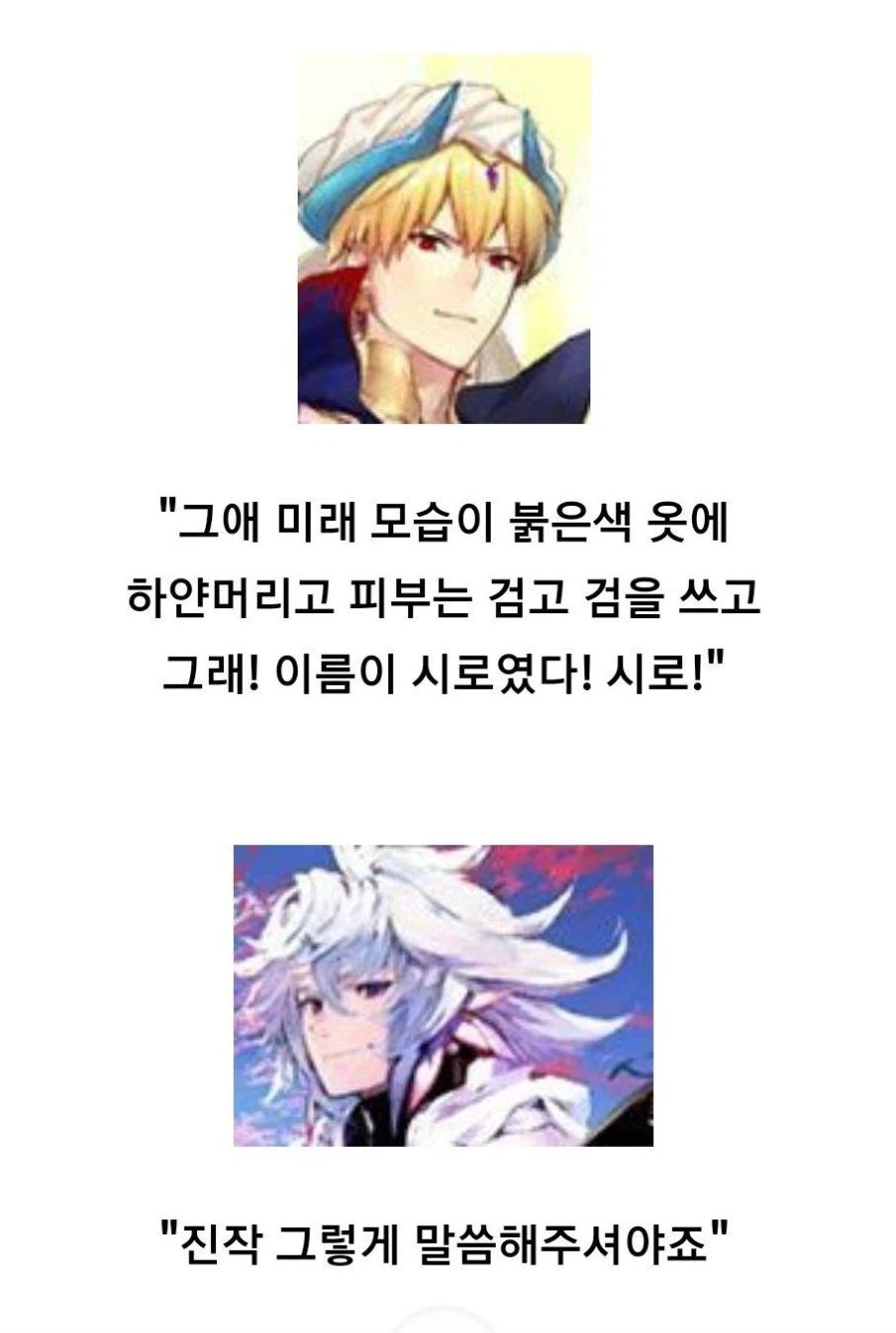 페이트)암만 봐도 이건거 같음_5.webp