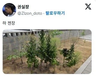 텃밭 가꾸기 초보들이 가장 흔하게 하는 실수_3.webp