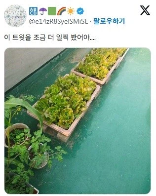 텃밭 가꾸기 초보들이 가장 흔하게 하는 실수_4.webp