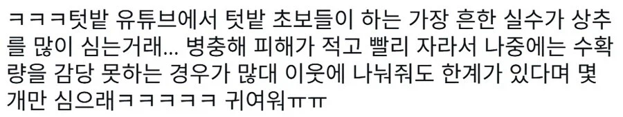 텃밭 가꾸기 초보들이 가장 흔하게 하는 실수_1.webp