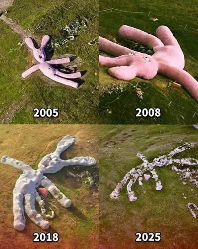 환경 친화적 재료로 만들어진 대형 분홍 토끼 인형의 최후.JPG_1.webp