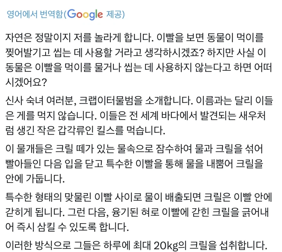 섬뜩한 이빨에 숨겨진 진실_2.webp