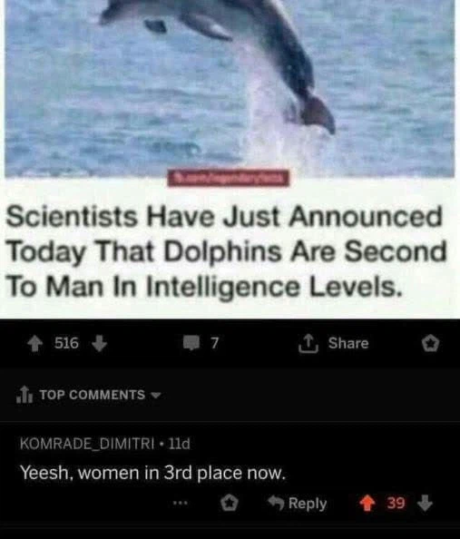 돌고래가 성인 남성 다음으로 지능이 높다고 함_1.webp