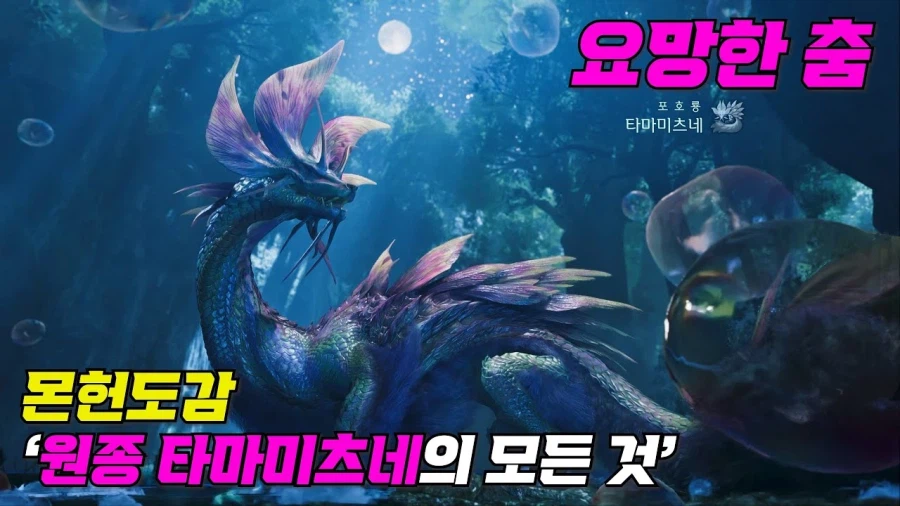 푸들 원종이라는게 있었구나 ㅋ_2.webp