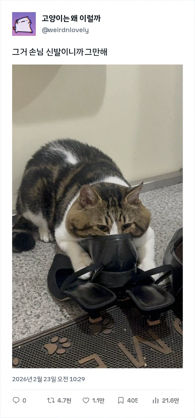 크헉 뻑예_1.webp