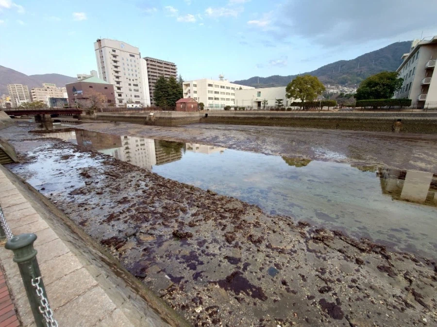 수위가 내려가자 보인 것_1.webp