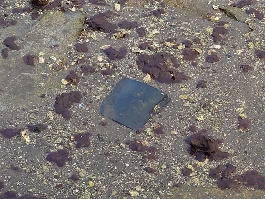 수위가 내려가자 보인 것_2.webp